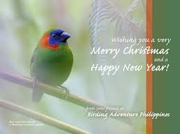 Taken from: www.birdingphilippines.com 